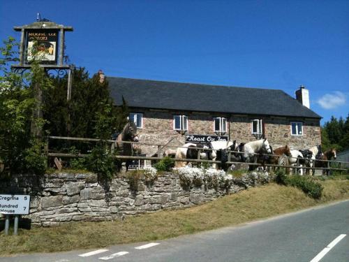 um grupo de cavalos em frente a um edifício de pedra em The Roast Ox Inn em Builth Wells