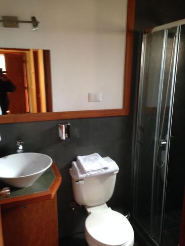 a bathroom with a toilet and a sink and a shower at Cabañas El Galo in Panguipulli
