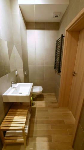 a bathroom with a sink and a toilet in it at Apartamenty Willowa in Szczyrk