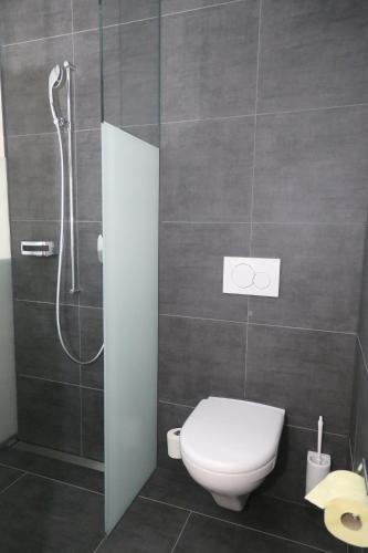 a bathroom with a toilet and a shower at Hotel Traube Garni in Küttigen