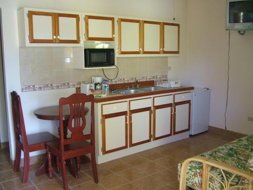 a small kitchen with a sink and a table at Panchos Villas in Caye Caulker
