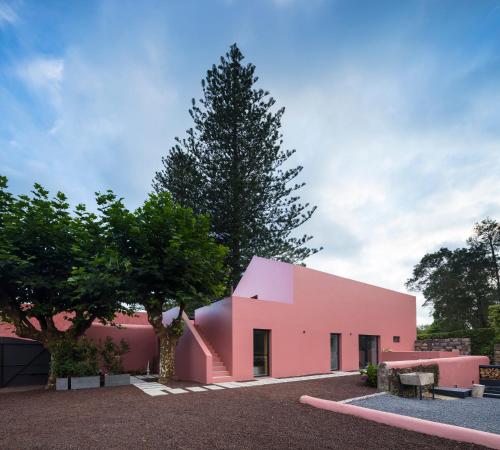 a pink house with a tree in front of it at Pink House Azores in Ponta Delgada