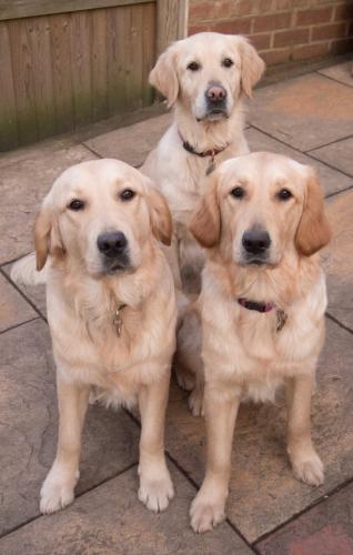 Muswell Hill B&B photo 28