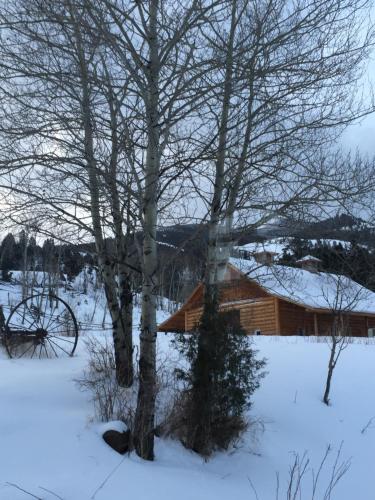Το Grandpa's Cabin τον χειμώνα
