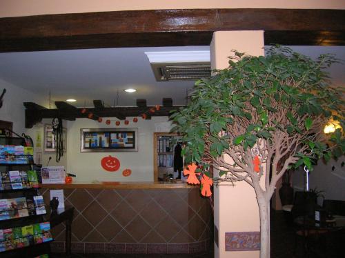 
a living room with a tree in the corner at Hotel María Cristina in Cala del Moral
