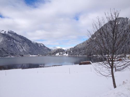 a snow covered lake with a tree in the foreground at Ferienhaus Carmen in Grän
