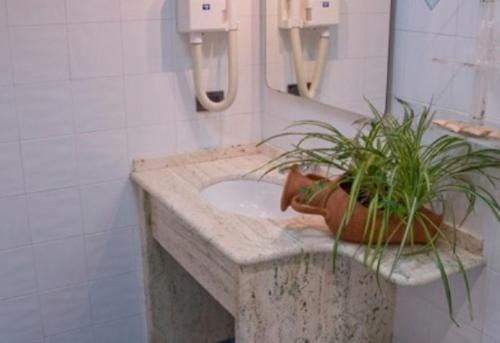 un bagno con lavandino e pianta in vaso di Hotel Thema a Rocca San Giovanni
