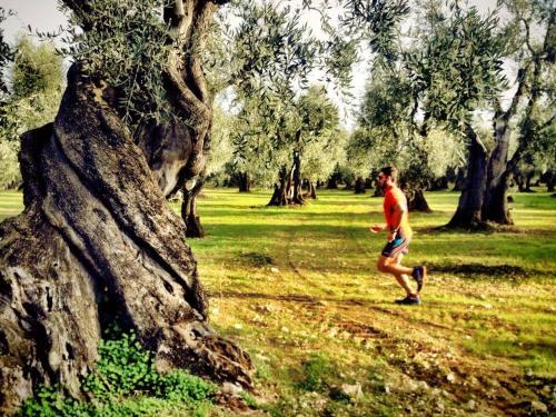 a man running in a park near a tree at Casa MARESOLE in Mattinata