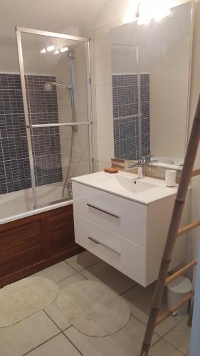 a bathroom with a white sink and a shower at Ocean Appart in Saint-Gilles les Bains