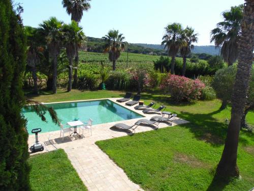 a swimming pool in a yard with palm trees at Clos des Vignes Pampelonne Vineyard in Ramatuelle