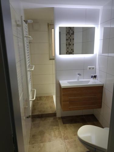 メルズンゲンにあるHerberge Lurenbachの洗面台、鏡、トイレ付きのバスルーム