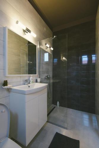 a bathroom with a sink and a glass shower at Camelia's cozy place in Baia Mare