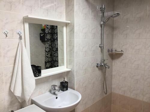 A bathroom at Apartment near centre