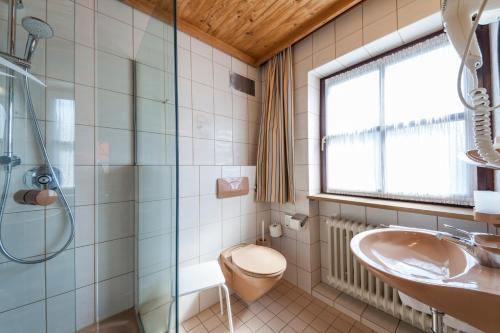 Hotel Alpina tesisinde bir banyo