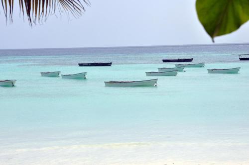 a group of boats in the water on a beach at Villa Huruma in Paje