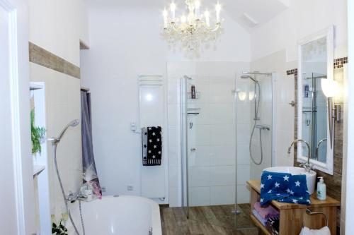 Ultra Alpes Ludwig Suite tesisinde bir banyo