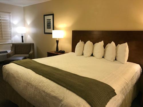 Postel nebo postele na pokoji v ubytování Dinosaur Inn & Suites