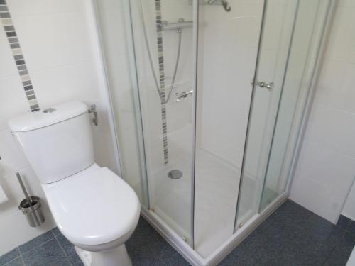 a bathroom with a toilet and a glass shower at Chez Tante Jeanne in Ploubazlanec