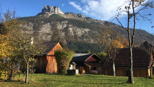 a barn with a mountain in the background at Bergarbeiterhäuser in Altaussee