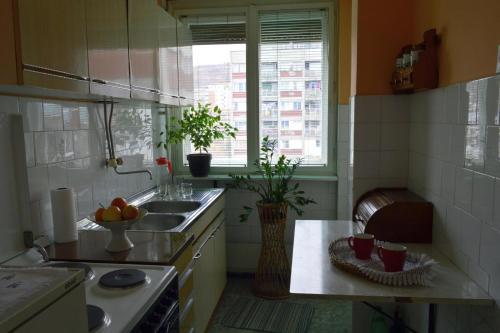 a small kitchen with a sink and a window at Apartman Nikolic in Bor
