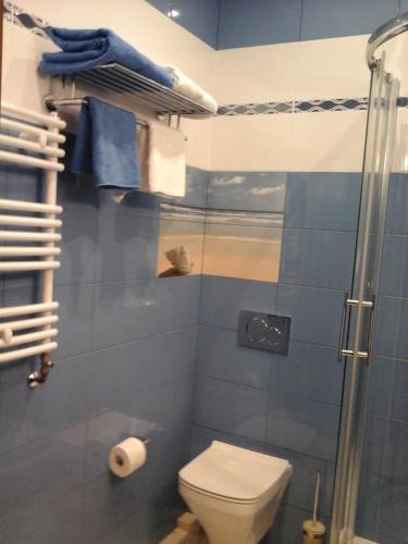 a bathroom with a toilet and a glass shower at Willa Olympia in Unieście