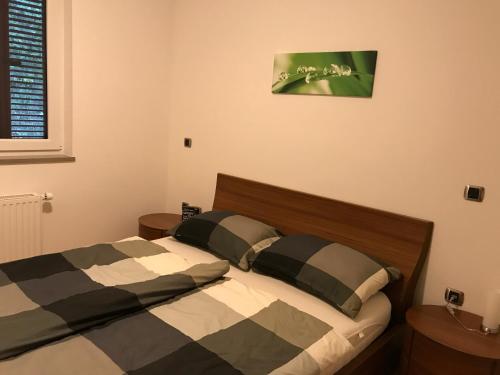 ein Schlafzimmer mit 2 Betten und einem Bild an der Wand in der Unterkunft Jure Apartments 2 in Koper