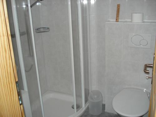 La salle de bains est pourvue d'une douche et de toilettes. dans l'établissement Rustico Pacifico, à Brontallo