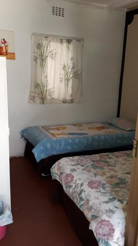 Katil atau katil-katil dalam bilik di Paljas Backpackers
