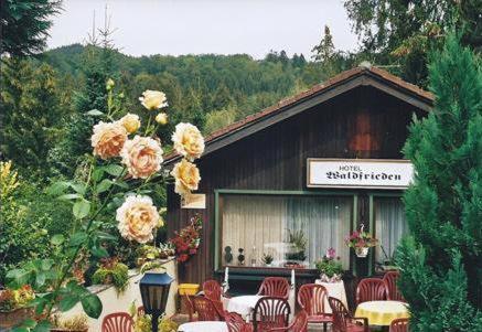 Galeriebild der Unterkunft Ferienhotel Waldfrieden in Bad Sachsa