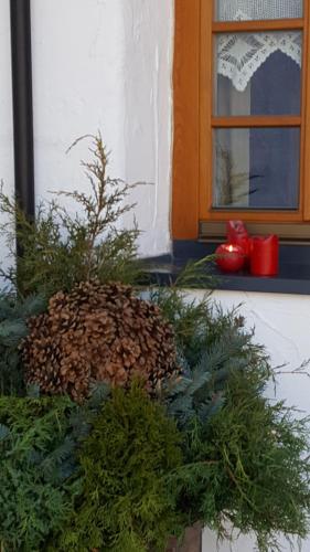 a pile of plants in front of a window at Landhaus Strickenmacher in Sillian
