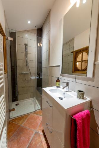 a bathroom with a sink and a shower at Au Cheval Blanc - appartements et chambres d'hôtes in Albertville