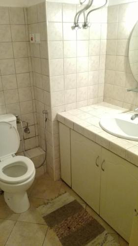 a white bathroom with a toilet and a sink at Residences Abrico in Mont Choisy