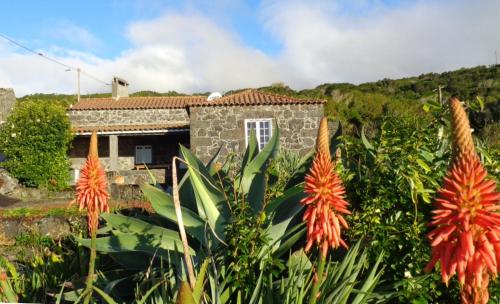 ein Steinhaus mit roten Blumen davor in der Unterkunft Casa do Bernardo in Feiteira