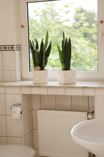 two plants sitting on a window sill in a bathroom at Haus Mühlenbrock in Schermbeck