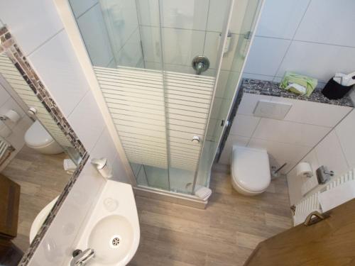 La salle de bains est pourvue d'une douche, de toilettes et d'un lavabo. dans l'établissement Hotel-Restaurant Zum Babbelnit, à Mayence