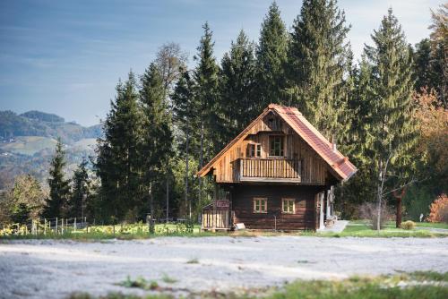 a small wooden house in the middle of a field at Landhaus Moser in Leutschach