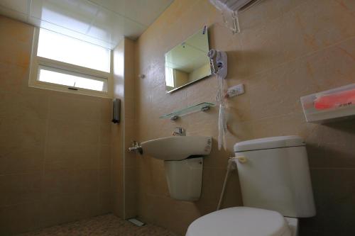 a bathroom with a toilet and a sink and a mirror at Miyama Bed and Breakfasts in Chishang