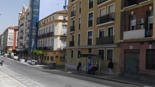 Fan Flat Rosaleda