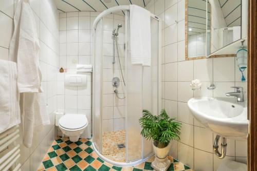 a bathroom with a shower and a toilet and a sink at Aparthotel Gallahaus in Zell am Ziller