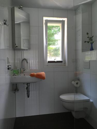 a bathroom with a sink and a toilet and a window at Ferienwohnung Felix am See in Joachimsthal