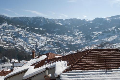 a town covered in snow with mountains in the background at Asteri Metsovou in Metsovo