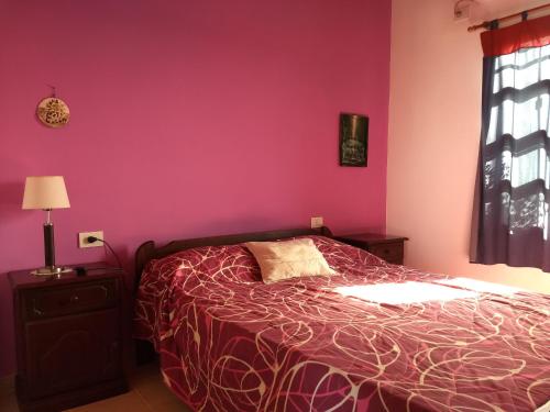 a bedroom with a bed and a pink wall at Cabanas El Paramo in Colón