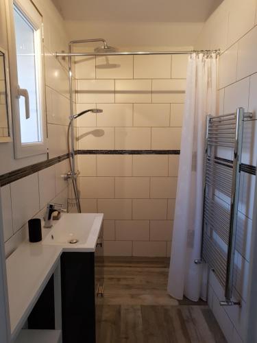 une salle de bain avec un lavabo et une douche dans l'établissement Villa Valdor- Studio, à Cotignac