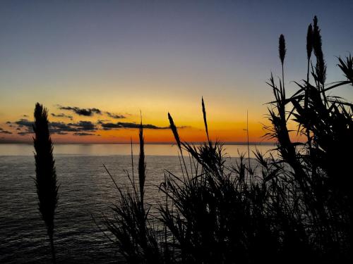a sunset over the water with plants in the foreground at Le Storie di Manarola in Manarola
