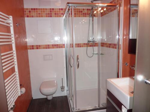 W łazience znajduje się prysznic, toaleta i umywalka. w obiekcie Villa Patricia w mieście Kühlungsborn