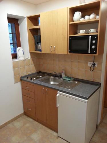 eine kleine Küche mit einer Spüle und einer Mikrowelle in der Unterkunft Harrachov Apartman in Harrachov