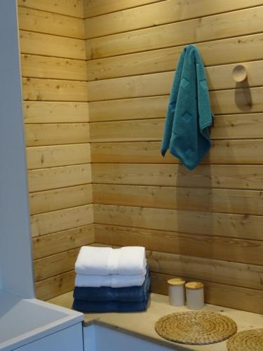 uma casa de banho com uma toalha numa parede de madeira em Gite de l'Abbaye d'Etrun em Étrun