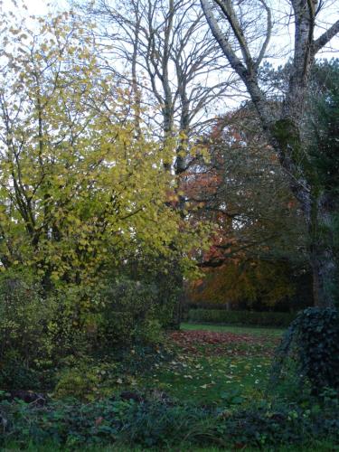 a park with trees and leaves on the ground at Gite de l'Abbaye d'Etrun in Étrun