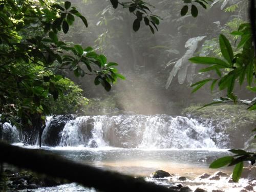 a waterfall in the middle of a forest at Jacobin Hostel & Cabins in Drake