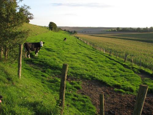 Φωτογραφία από το άλμπουμ του Gite Rural Entre Terre et Mer σε Widehem